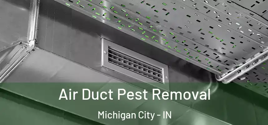 Air Duct Pest Removal Michigan City - IN
