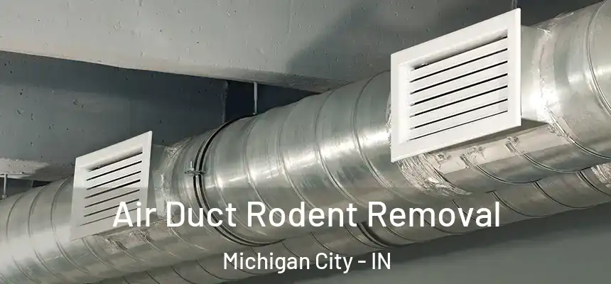 Air Duct Rodent Removal Michigan City - IN