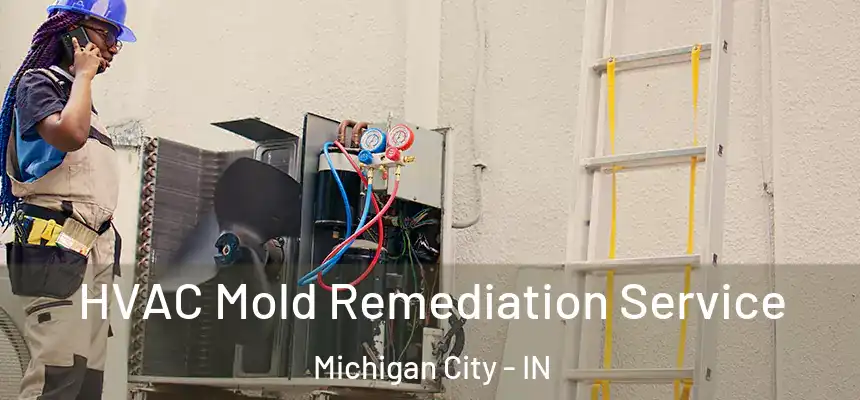 HVAC Mold Remediation Service Michigan City - IN