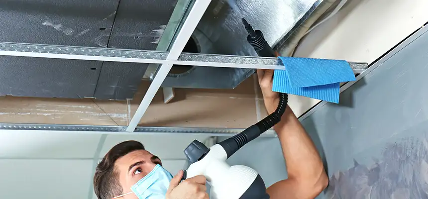 Our Air Duct Rodent Removal Services in Michigan City, IN