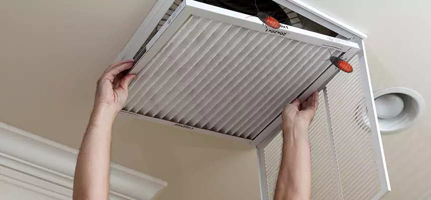 Our Insect Removal from Air Ducts Services in Michigan City, IN