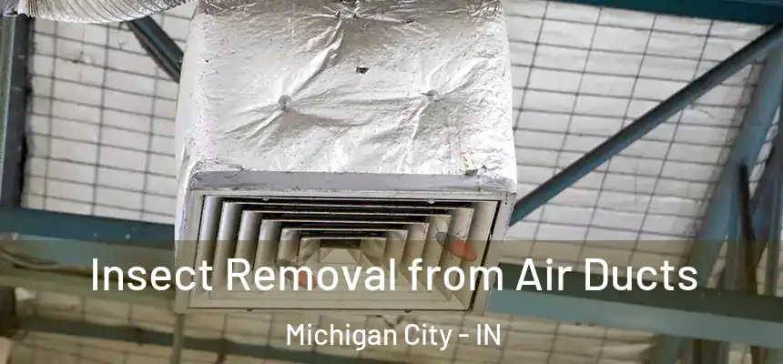 Insect Removal from Air Ducts Michigan City - IN