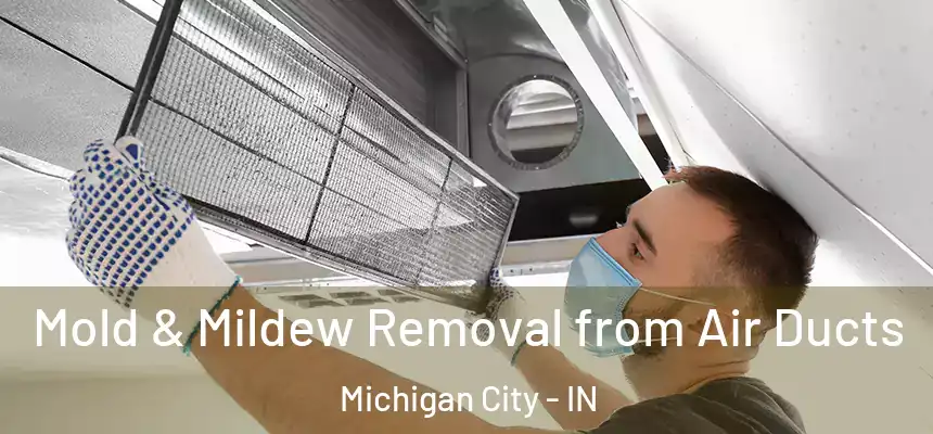  Mold & Mildew Removal from Air Ducts Michigan City - IN
