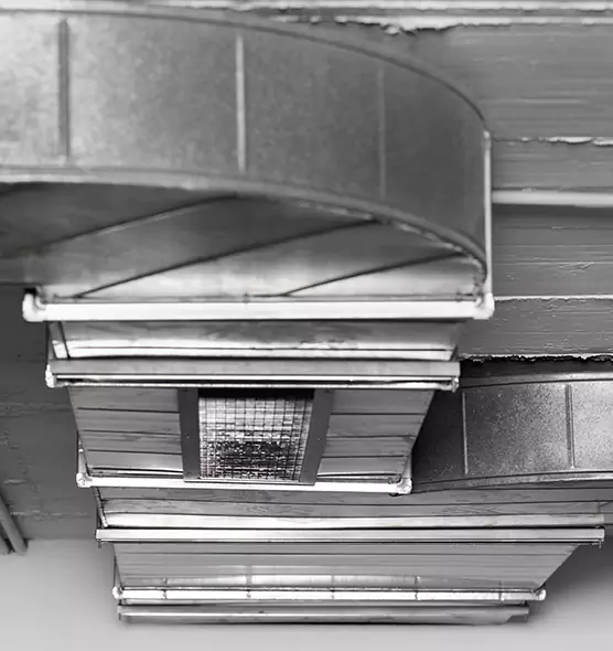 Professional Air Duct Pet Hair Removal in Michigan City, IN