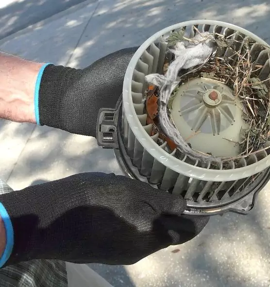 About Air Duct Rat Removal in Michigan City, IN