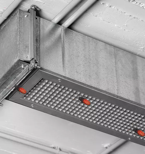 Affordable Insect Removal from Air Ducts in Michigan City, IN