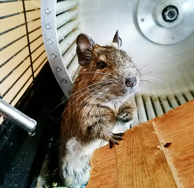 Why Homeowners & Businesses Trust Us Michigan City, IN